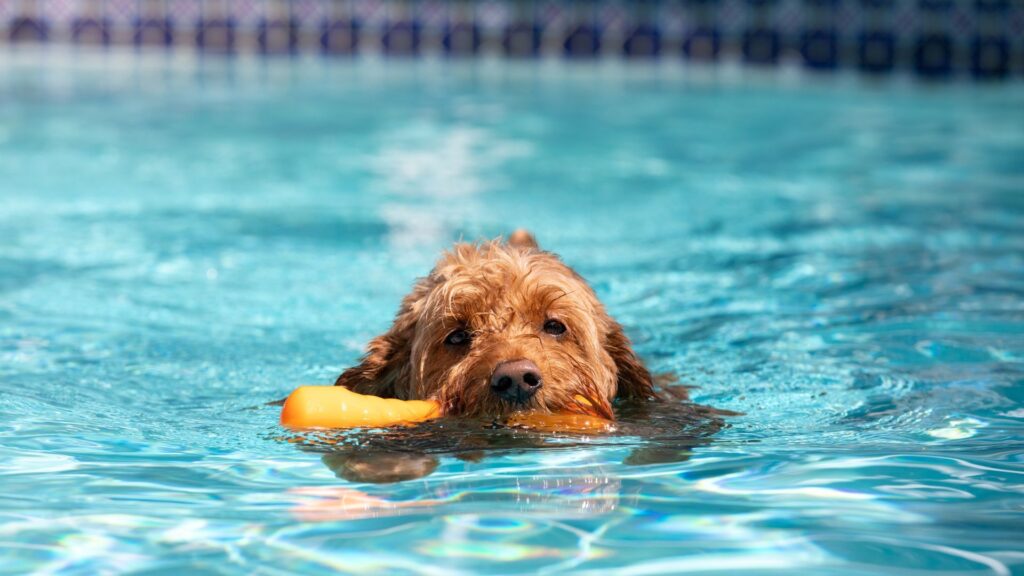 Piscina con agua salada