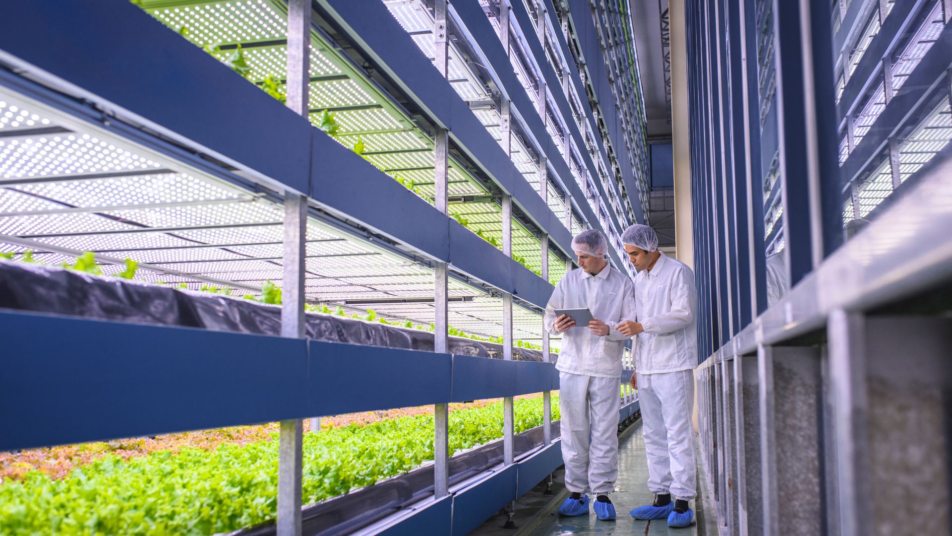 Salmuera Agroalimentaria